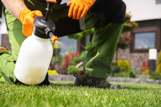 Best Ant Control Services  in Dover Beaches South, NJ