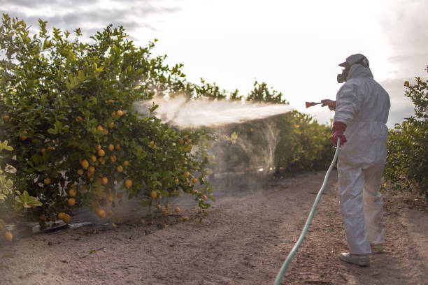 Best Mosquito Control Services  in Dover Beaches South, NJ